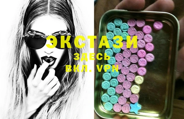 стаф Аркадак