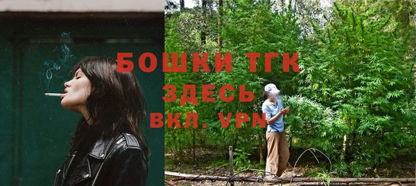 стаф Аркадак