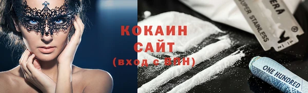 стаф Аркадак