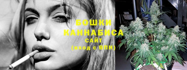 прущие грибы Навашино
