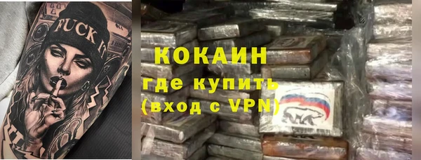 стаф Аркадак