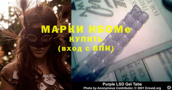 стаф Аркадак