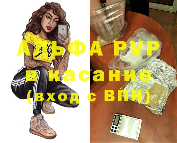 стаф Аркадак