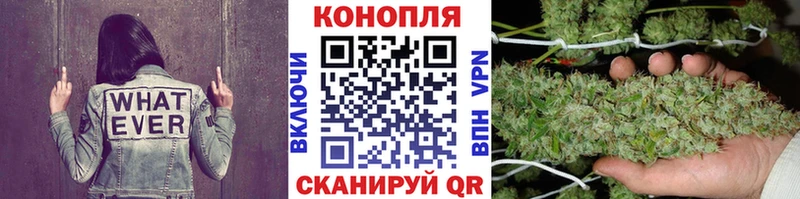 KRAKEN   купить наркоту  Сенгилей  Конопля тримм 